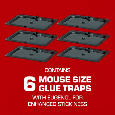 Tomcat Glue Traps Mouse Size with Eugenol for Enhanced Stickiness for Mice, Cockroaches, and Spiders, 6 Traps