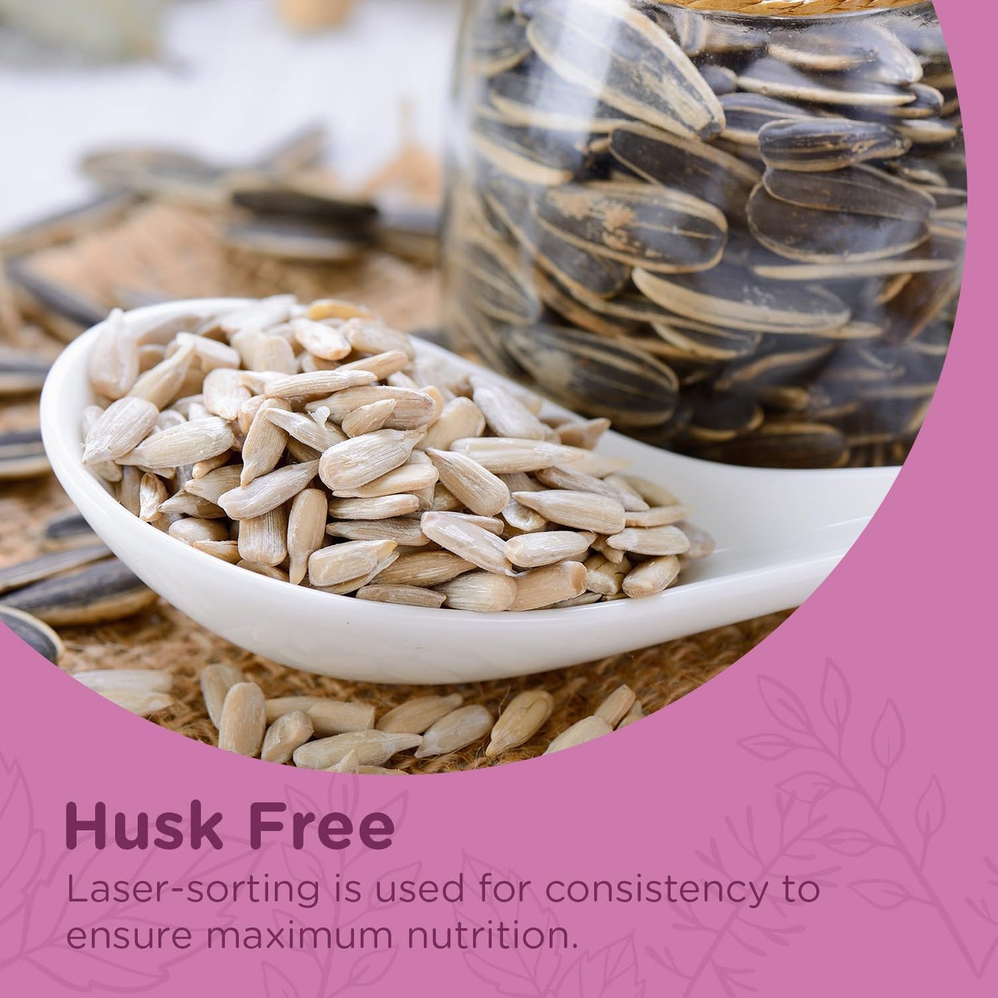 Extra Select Sunflower Hearts Bird Food - Husk-Free, Oil Rich, High Energy Wild Bird Seed for Year Round Feeding - 3 Litre Bucket