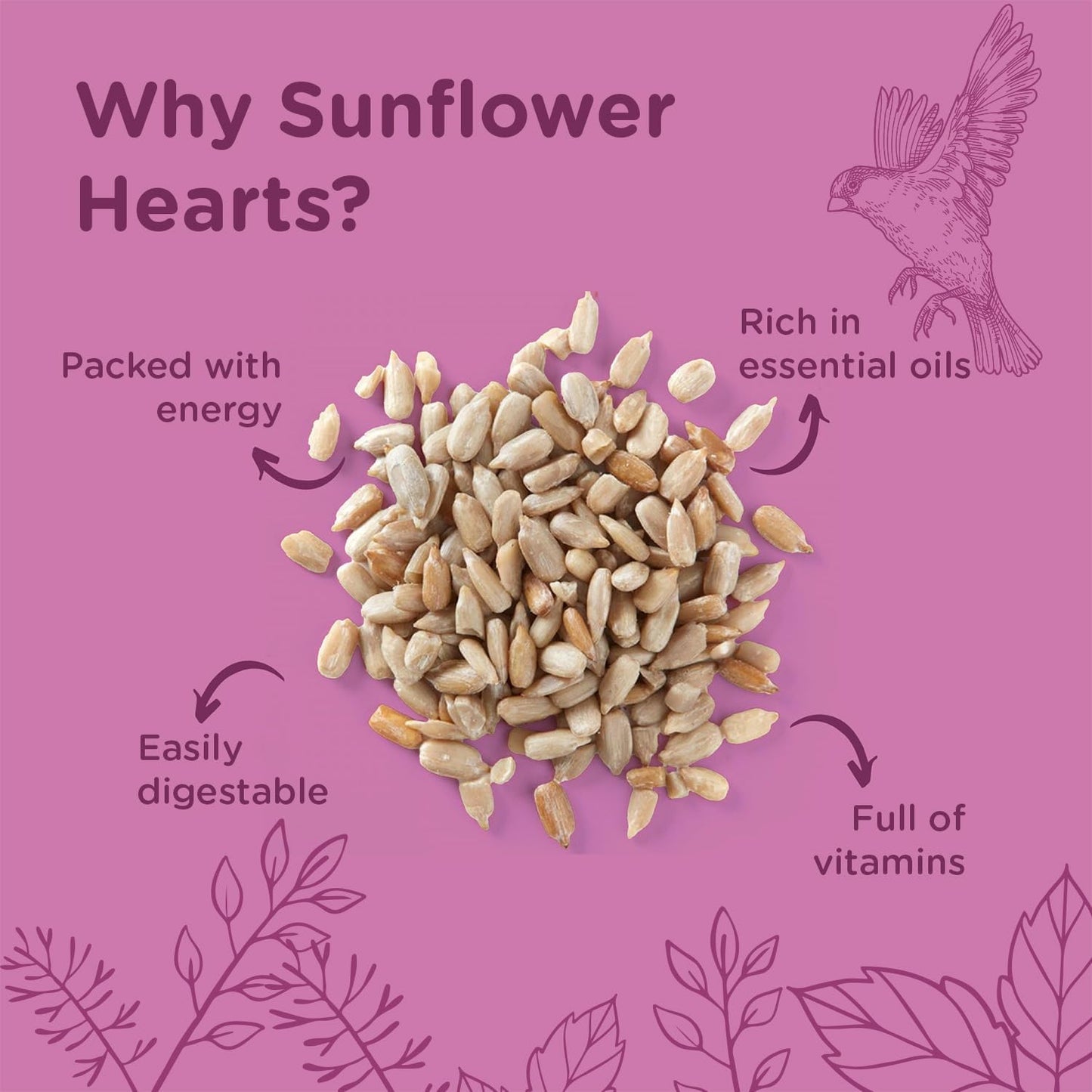 Extra Select Sunflower Hearts Bird Food - Husk-Free, Oil Rich, High Energy Wild Bird Seed for Year Round Feeding - 3 Litre Bucket