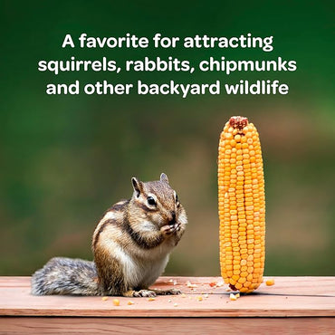 Kaytee Corn On The Cob, 6.5 lb