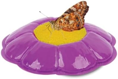 Insect Lore Butterfly Garden Kit, Painted Lady Butterfly Kit with Voucher for Live Caterpillars, Butterfly Habitat, STEM Journal & More Visit the Insect Lore Store - Cart Shape