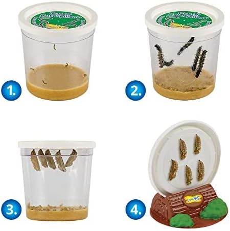 Insect Lore Butterfly Garden Kit, Painted Lady Butterfly Kit with Voucher for Live Caterpillars, Butterfly Habitat, STEM Journal & More Visit the Insect Lore Store - Cart Shape