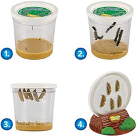 Insect Lore Butterfly Garden Kit, Painted Lady Butterfly Kit with Voucher for Live Caterpillars, Butterfly Habitat, STEM Journal & More Visit the Insect Lore Store - Cart Shape