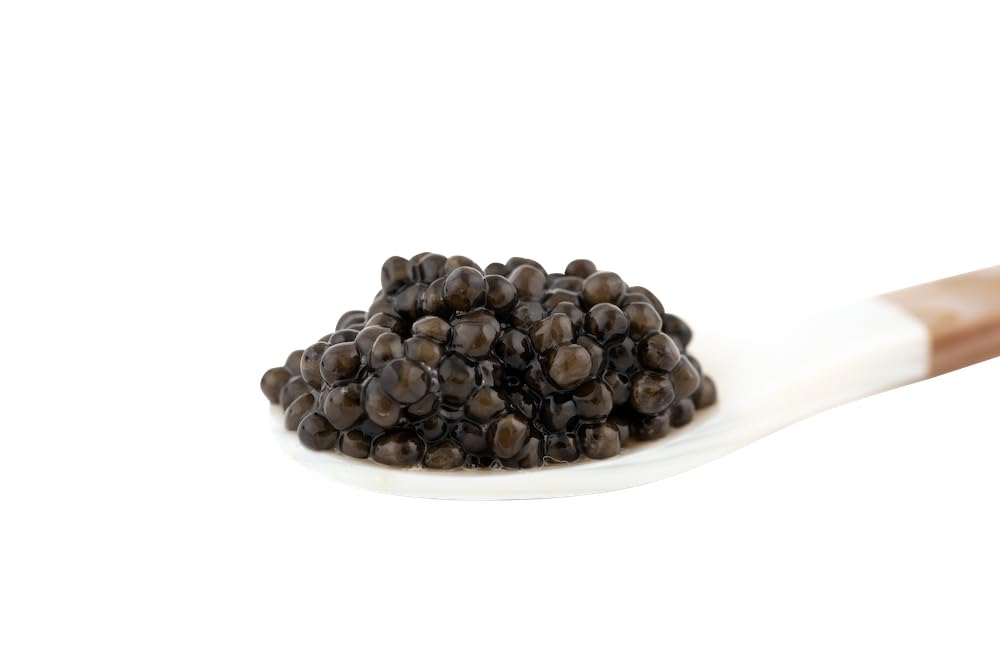 𝐁𝐄𝐒𝐓𝐒𝐄𝐋𝐋𝐄𝐑 Premium Siberian Sturgeon Royal Black Caviar - 1.1 oz - (30g) - Classical Sturgeon Malossol Sturgeon Black Roe - [SEPTEMBER 2025]