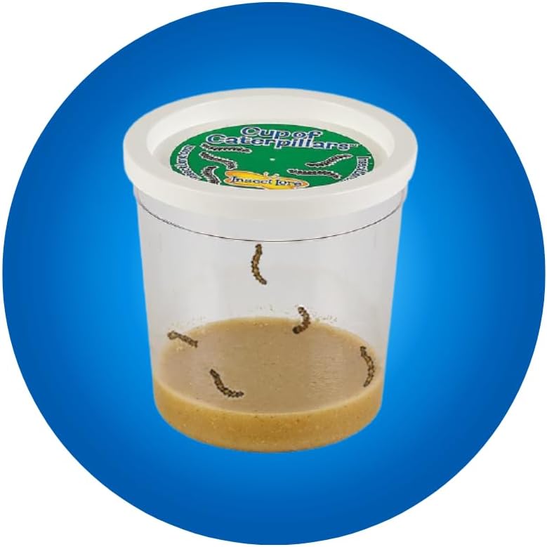 Insect Lore Butterfly Garden Kit, Painted Lady Butterfly Kit with Voucher for Live Caterpillars, Butterfly Habitat, STEM Journal & More Visit the Insect Lore Store - Cart Shape