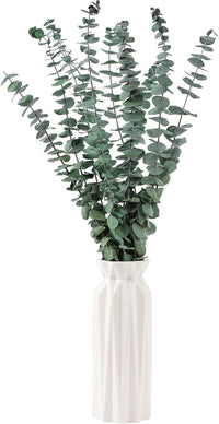 10 Pcs Dried Eucalyptus Stems 17" Real Eucalyptus for Shower Hanging 100% Made from Fresh Leaves, Wedding, Home, Farmhouse, DIY Spring Decor Bathroom Decor Home Decor