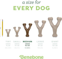 Benebone Wishbone Durable Dog Chew Toy for Aggressive Chewers, Real Bacon, Made in USA, Medium