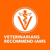 IAMS Proactive Health Indoor Weight & Hairball Care Adult Dry Cat Food with Chicken & Turkey, 7 lb. Bag