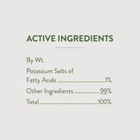Garden Safe 32 oz. Insecticidal Soap Ready-to-Use, 1 Count (Pack of 1)