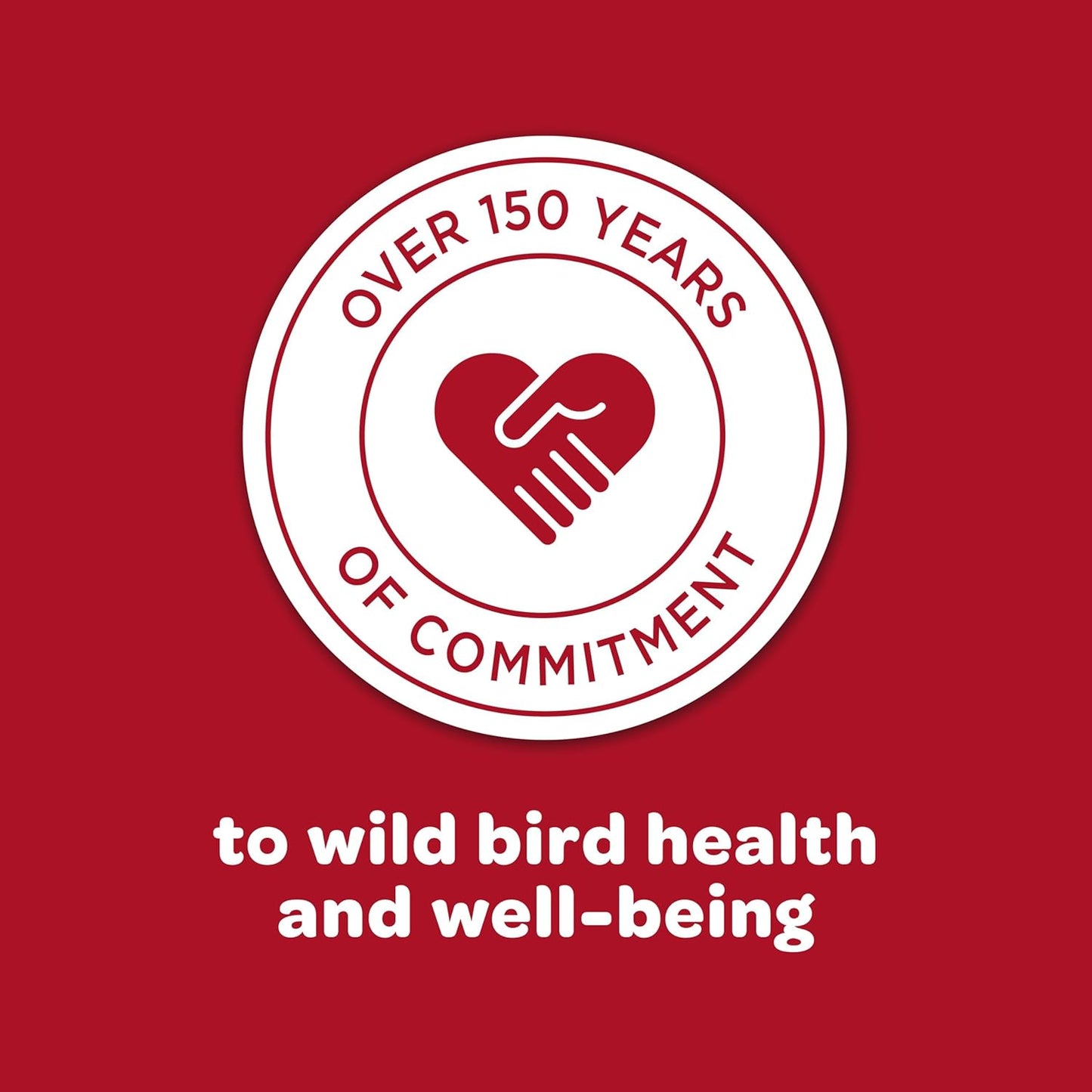 Kaytee All American Wild Bird Food Seed Blend, 5 Pound