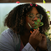 Fiskars Micro-Tip Pruning Snips - 6" Garden Shears with Sheath and Comfort Grip - Sharp Steel Blades - Quality Pruning Shears for Plants in Grow Tents and Hydroponics - Garden Tools - Cart Shape