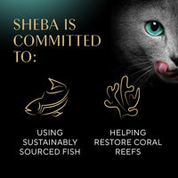 Sheba Perfect Portions Wet Cat Food Pate with Sustainable Salmon, Signature Seafood Entree, and Tender White Fish and Tuna Entree Variety Pack, 2.6 oz. Twin Pack Trays (24 Count, 48 Servings)