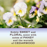 MRS. MEYER'S CLEAN DAY Liquid Dish Soap, Biodegradable Formula, Compassion Flower, 16 fl. oz - Pack of 3