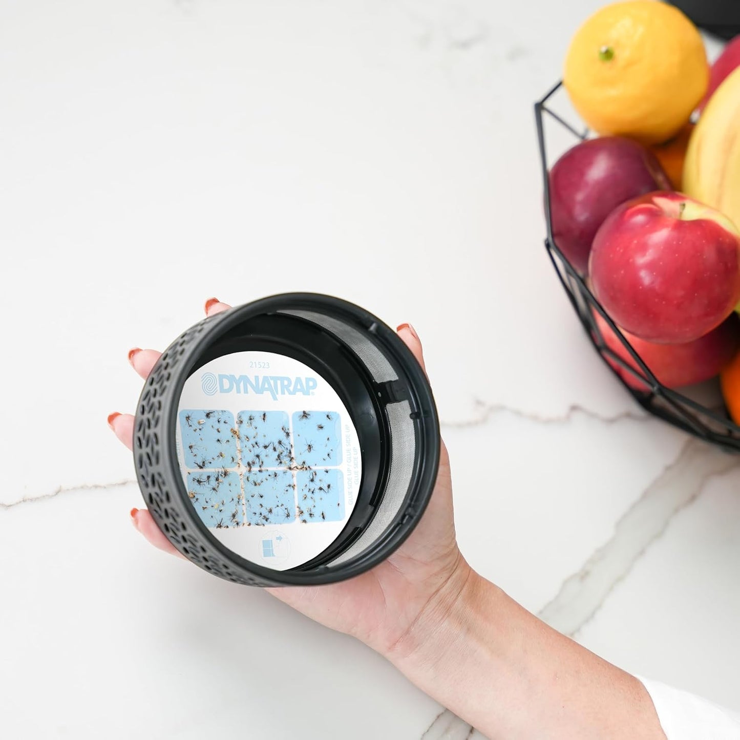 DynaTrap DT152 Indoor Insect Trap and Killer – Catches and Kills Gnats, Flies, Moths & Other Flying Insects