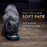 Sheba Perfect Portions Kitten Wet Cat Food Pate Chicken Entree and Salmon Entree, 2.6 oz. Twin-Pack Trays (12 Count, 24 Servings) (Pack of 2)