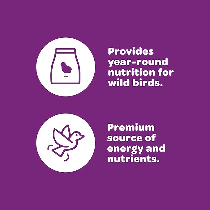 Kaytee Nut & Fruit Wild Bird Seed, 5 lb