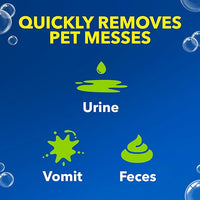 OxiClean Carpet and Rug Cleaner, Pet Stain and Odor Remover Spray, 24 fl oz