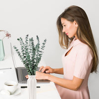 10 Pcs Dried Eucalyptus Stems 17" Real Eucalyptus for Shower Hanging 100% Made from Fresh Leaves, Wedding, Home, Farmhouse, DIY Spring Decor Bathroom Decor Home Decor