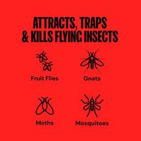 DynaTrap DT152 Indoor Insect Trap and Killer – Catches and Kills Fruit Flies, Gnats, Moths, Mosquitoes & Other Flying Insects