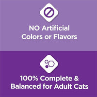 Purina Cat Chow Gentle Dry Cat Food, Sensitive Stomach + Skin - 13 lb. Bag