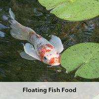Kaytee Koi's Choice Koi Floating Fish Food, 10 Pound