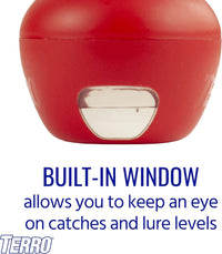Terro Fruit Fly Traps for Indoors (4 Pack) + 180 Days of Lure Supply