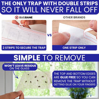 50 Window Fly Traps Sticky Non-Toxic Clear Fly Paper Indoor for Home. No Mess Flies Window Sticky Traps Bug Flies Strips Indoors. Fruit and Housefly Trap Indoor Flypaper Tape Gnat Catcher Killer