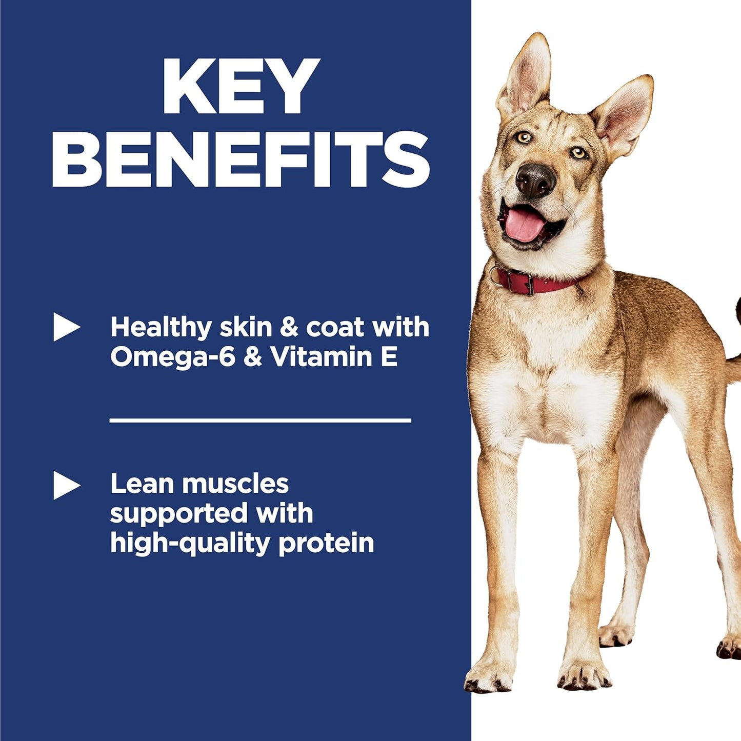 Hill's Science Diet Adult 1-6, Adult 1-6 Premium Nutrition, Dry Dog Food, Chicken & Barley, 5 lb Bag - Cart Shape