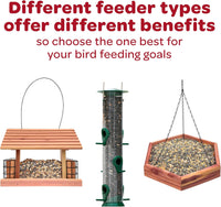 Kaytee All American Wild Bird Food Seed Blend, 5 Pound