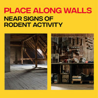 Victor Mouse Traps M035-12, Plastic Pedal, Sustainably Sourced FSC Wood, Wooden Mouse Traps, 12 Pack