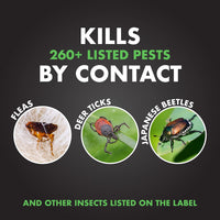 Spectracide Triazicide Insect Killer For Lawns & Landscapes Concentrate (Ready-To-Spray), Protects Lawns, Vegetables, Fruit & Nut Trees, Roses, Flowers & Shrubs, 32 fl Ounce