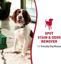 Nature’s Miracle Stain and Odor Remover Dog, Odor Control Formula, 32 oz