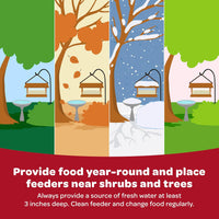 Kaytee All American Wild Bird Food Seed Blend, 5 Pound