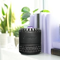 DynaTrap DT152 Indoor Insect Trap and Killer – Catches and Kills Gnats, Flies, Moths & Other Flying Insects